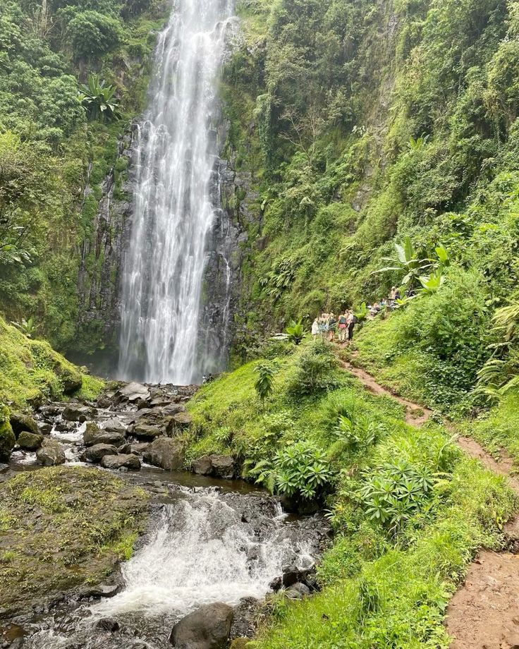 Materuni Waterfall & Coffee Tour